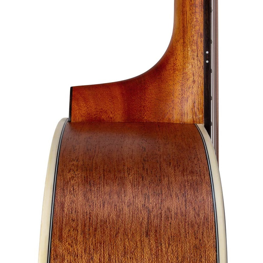 Bromo BAA4C Акустична китара Auditorium, Смърч, Hillside cutaway