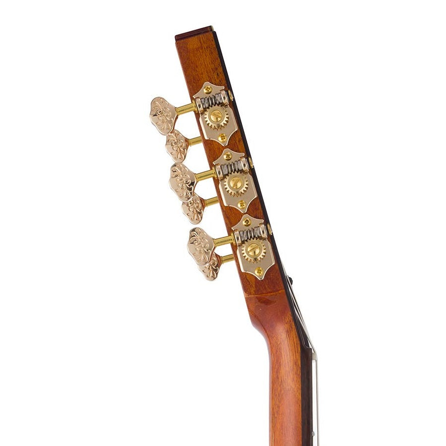 Bromo BEN2C Електро-акустична класическа китара с найлонови струни, Fusion Craft, Hollow Body Cutaway, Amara Ebony, натурален гланц, включен твърд куфар