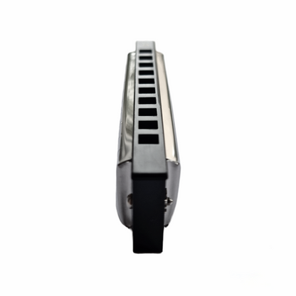 SX HM1020C Диатонична устна хармоника Blues, тоналност C (ДО), с кутия